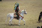 Quadrille - 00154